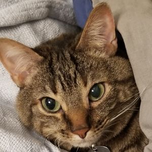 Meet your Posher, Mason